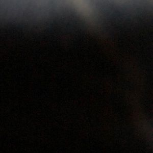 Meet your Posher, Jack